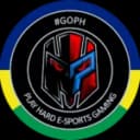 Logo Playhard 